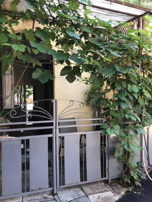 Nataly Apartament-Old Tbilisi Center Ngoại thất bức ảnh